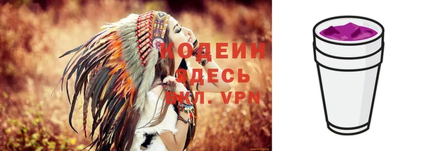 ГАЛЛЮЦИНОГЕННЫЕ ГРИБЫ Дмитриев