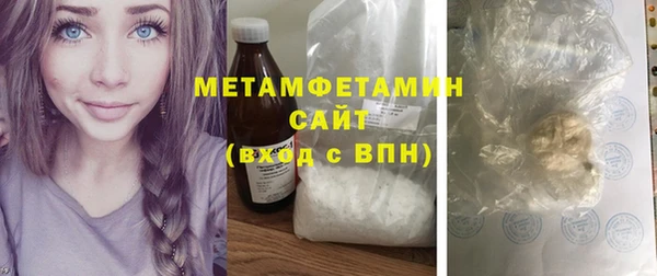 ГАЛЛЮЦИНОГЕННЫЕ ГРИБЫ Дмитриев