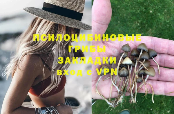 ГАЛЛЮЦИНОГЕННЫЕ ГРИБЫ Дмитриев