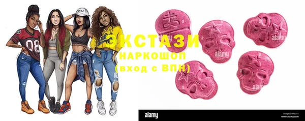 ГАЛЛЮЦИНОГЕННЫЕ ГРИБЫ Дмитриев
