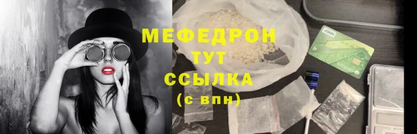 ГАЛЛЮЦИНОГЕННЫЕ ГРИБЫ Дмитриев