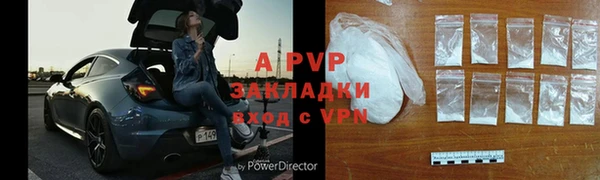 ГАЛЛЮЦИНОГЕННЫЕ ГРИБЫ Дмитриев