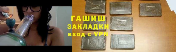 ГАЛЛЮЦИНОГЕННЫЕ ГРИБЫ Дмитриев