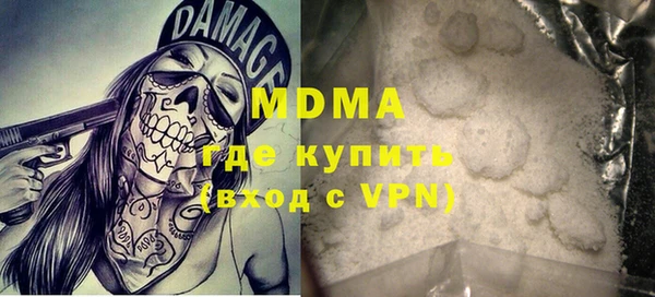 ГАЛЛЮЦИНОГЕННЫЕ ГРИБЫ Дмитриев