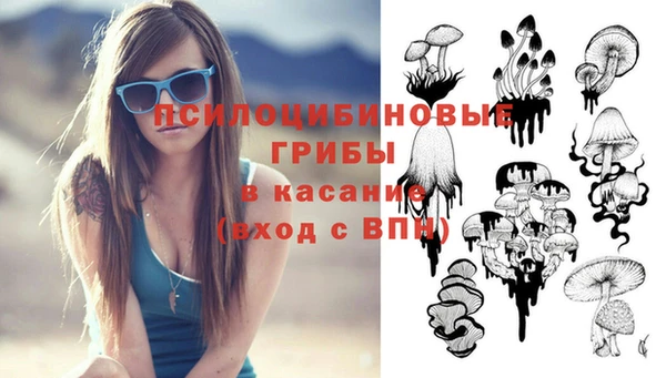 ГАЛЛЮЦИНОГЕННЫЕ ГРИБЫ Дмитровск