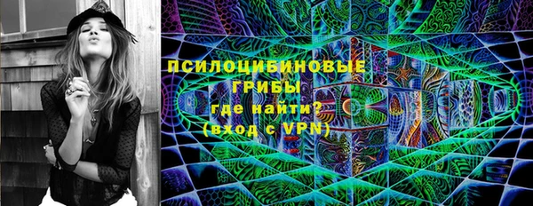 ГАЛЛЮЦИНОГЕННЫЕ ГРИБЫ Дмитриев