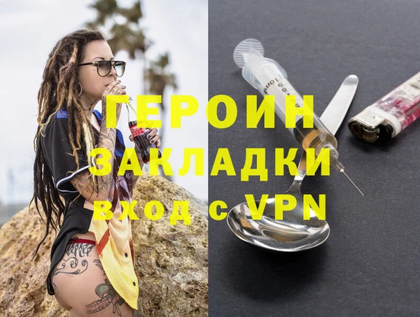 ГАЛЛЮЦИНОГЕННЫЕ ГРИБЫ Дмитриев