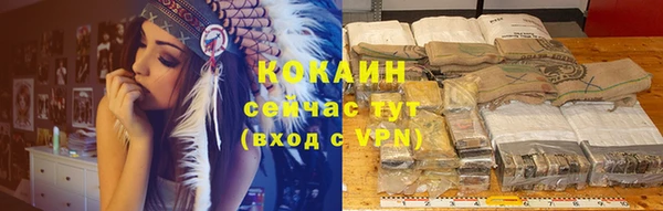 ГАЛЛЮЦИНОГЕННЫЕ ГРИБЫ Дмитриев