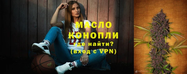 ГАЛЛЮЦИНОГЕННЫЕ ГРИБЫ Дмитриев